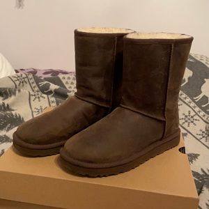 UGG Waterproof Classic Short Short in Leather Brown